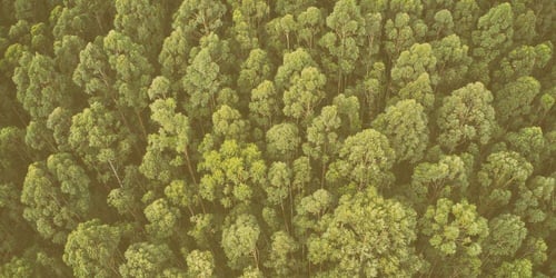 The Future of ESG in Africa: From Principles to Practice, and the Role of Arbitration in Dispute Resolution